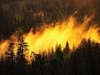 На территории Уватского района произошло 14 пожаров